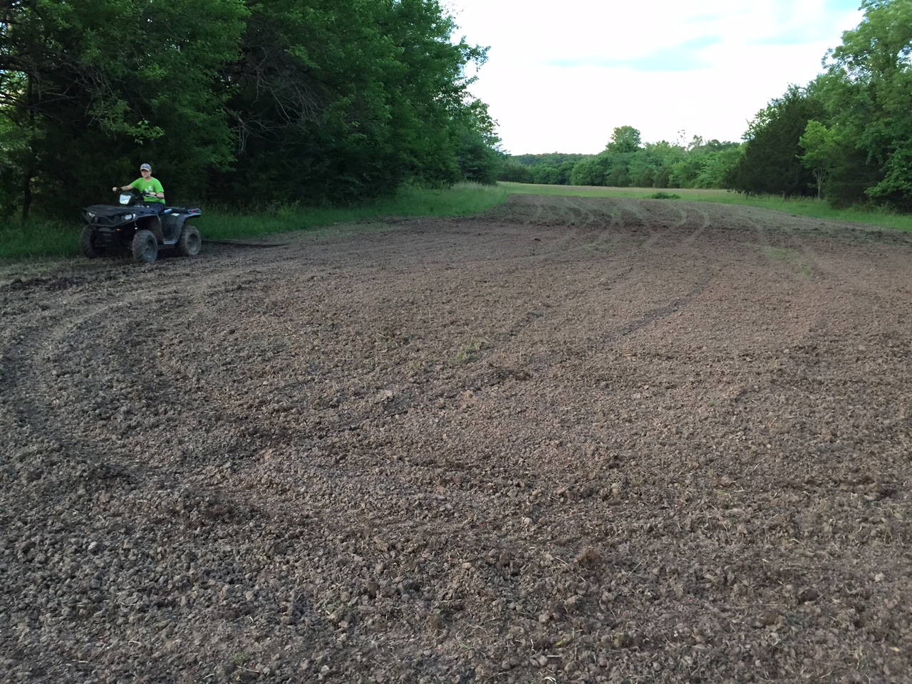 Attached picture Food Plot corn and beans with Rider.JPG